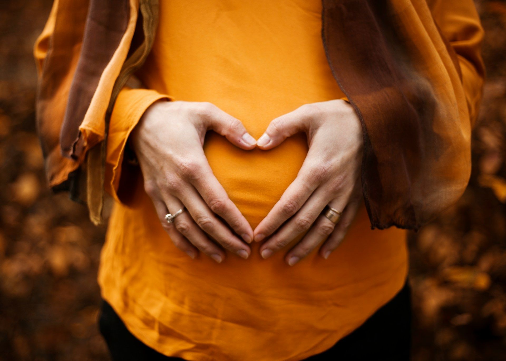 holistic fertility wellness