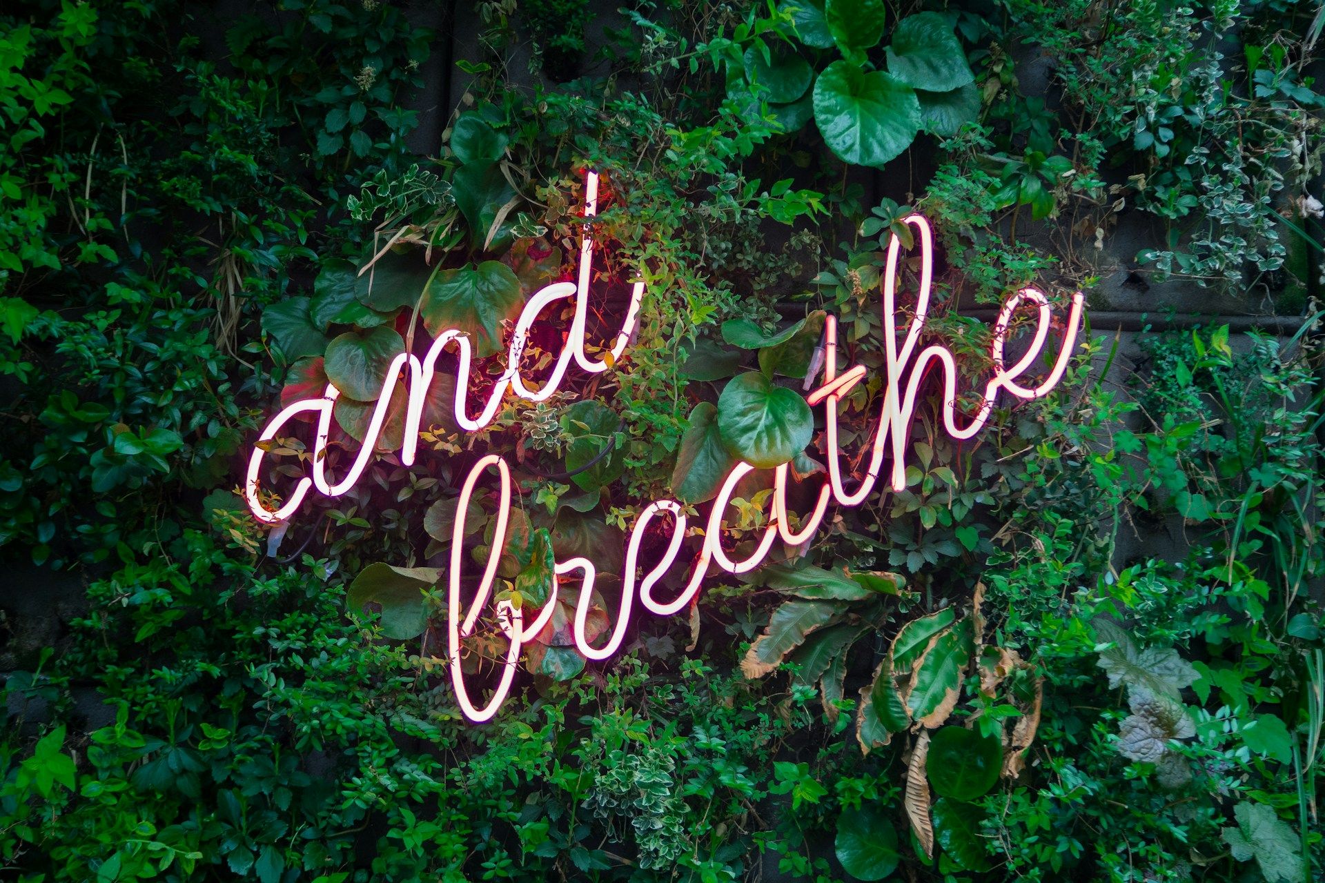 Self-Care for Holistic Practitioners